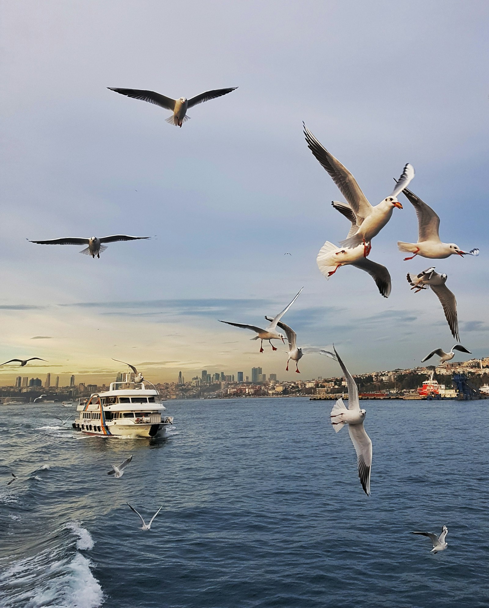 Boğaz Yıldızı — fotoğraf 1