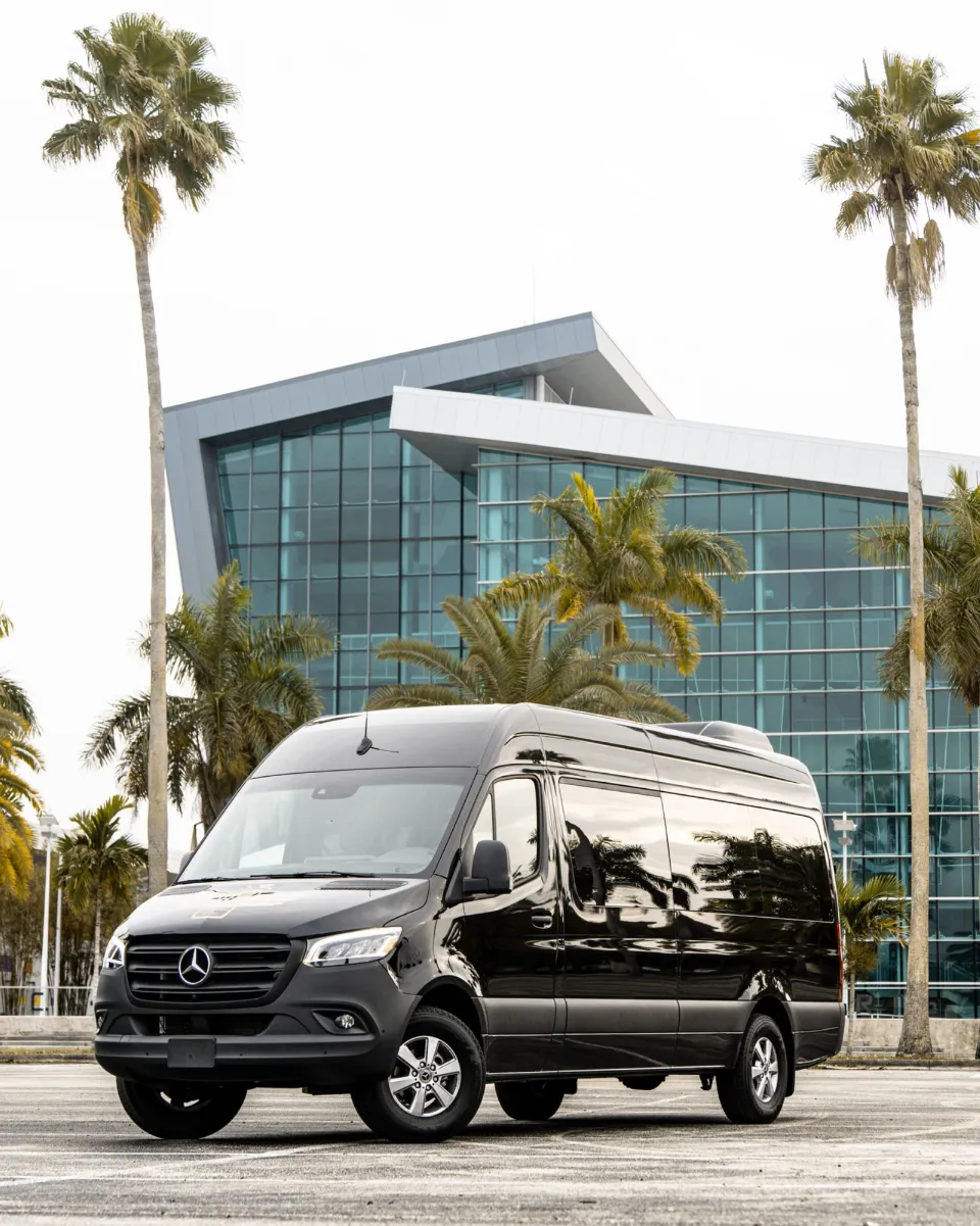 Mercedes-Benz Sprinter VIP
